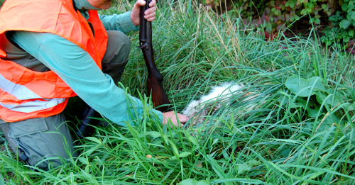 Jäger kniet und kontrolliert das frisch getötete Tier im hohen Gras