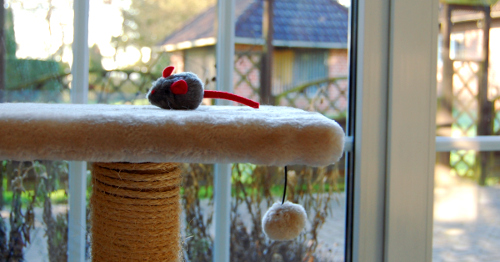 Ein Kratzbaum ohne Katze mit Blick aus dem Fenster auf die Terrasse