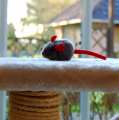 Ein Kratzbaum an der Terrassentür (Symbolbild)